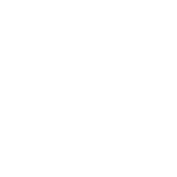 APPSPHINX Logo